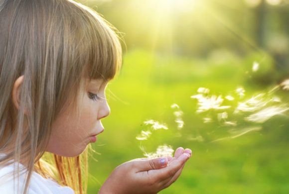 ¿Qué es la Coherencia Ecológica? ¿Qué es la Coherencia Ecológica?